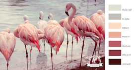 Nuevo proyecto de diseño: Colores hexadecimal