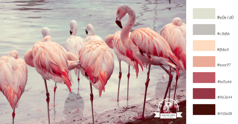 hexadecimal flamingos