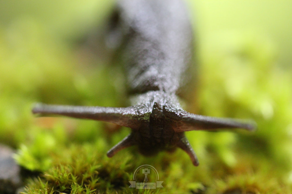 Naturaleza en La Rioja