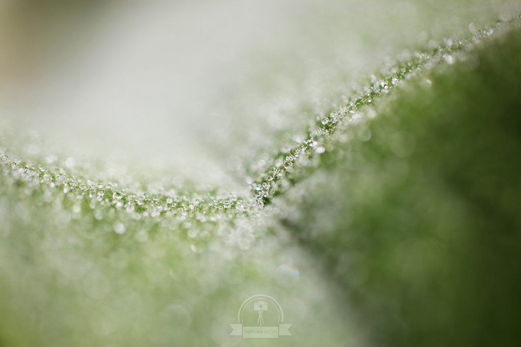 Naturaleza en La Rioja