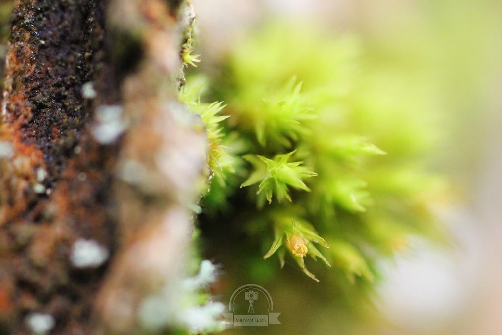 Naturaleza en La Rioja