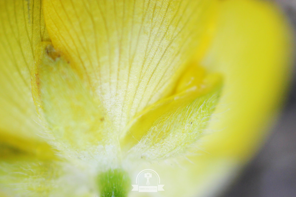 Naturaleza en La Rioja