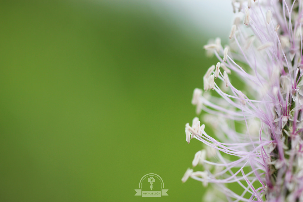 Naturaleza en La Rioja