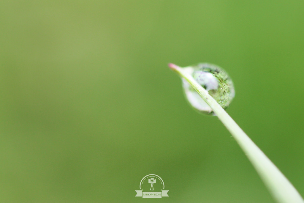 Naturaleza en La Rioja