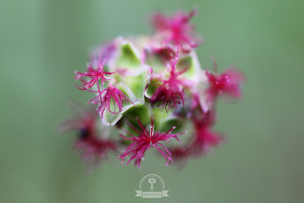 Naturaleza en La Rioja