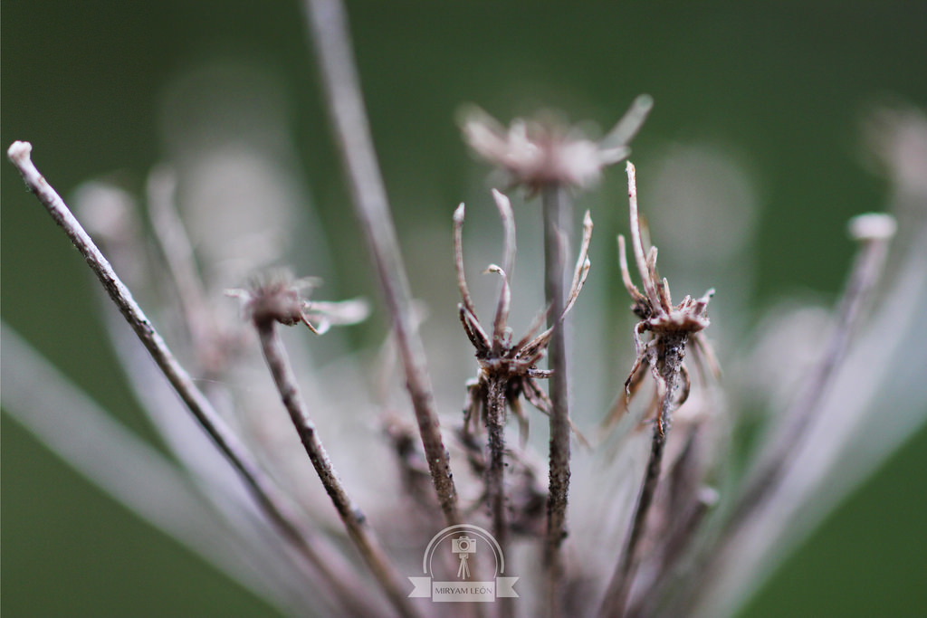 Naturaleza en La Rioja
