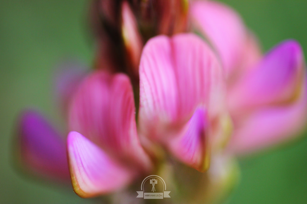 Naturaleza en La Rioja