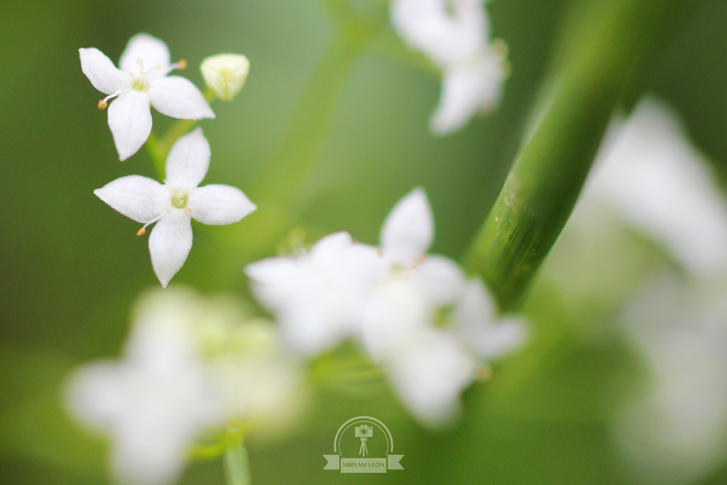 Naturaleza en La Rioja