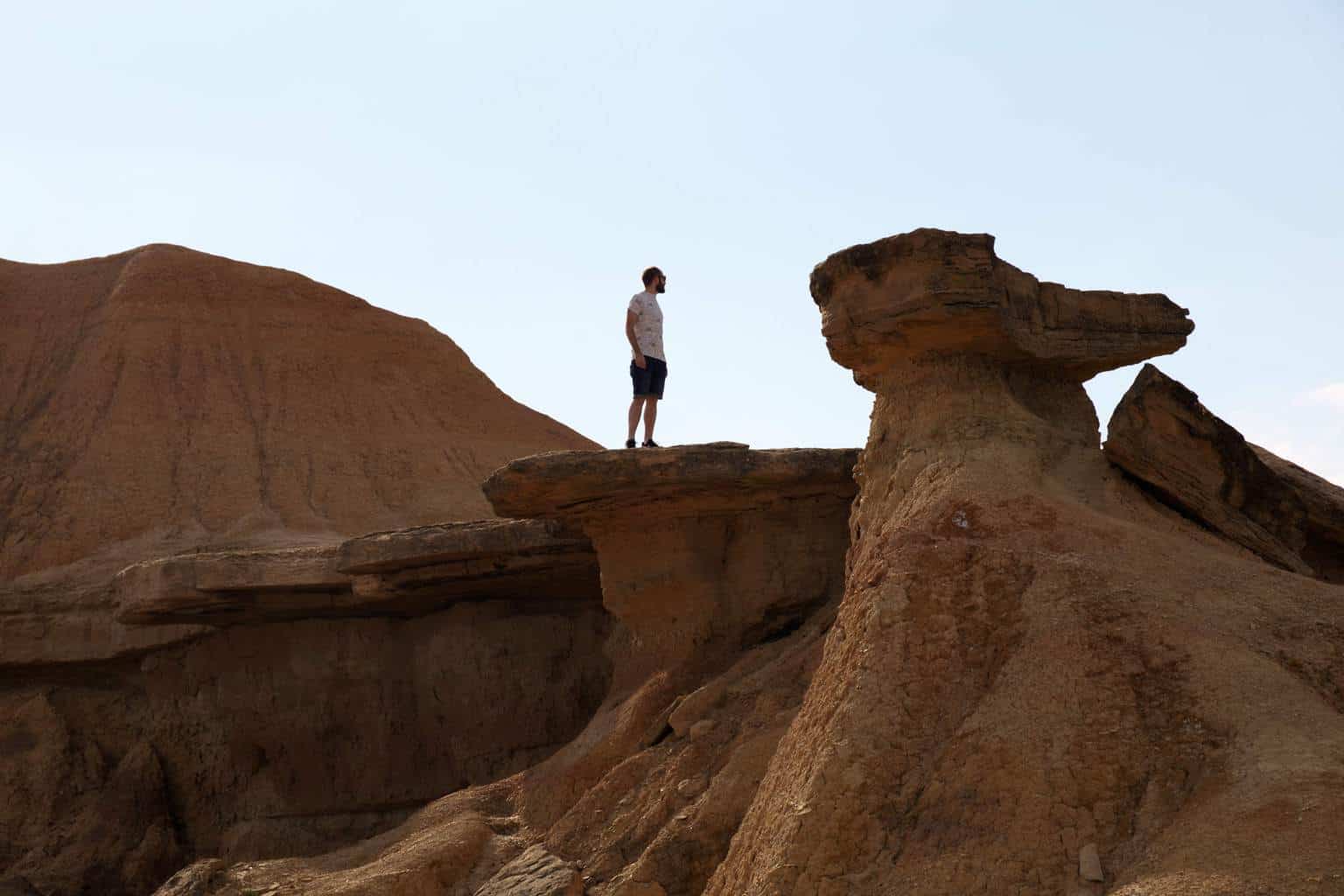Las Bárdenas Reales